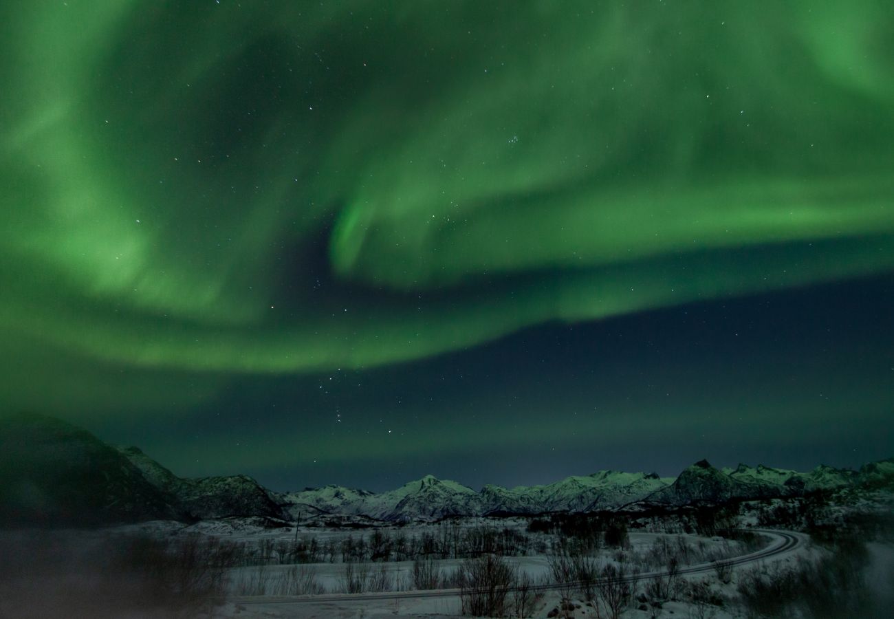 Hytte i Vågan - Fredheim, Northern Light Lodge