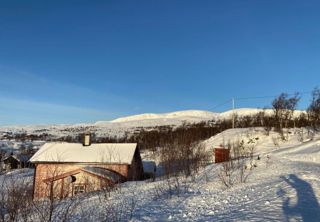 Hytte i Hol - Koselig hytte på Ustaoset Hytte i Hol - Koselig hytte på Ustaoset