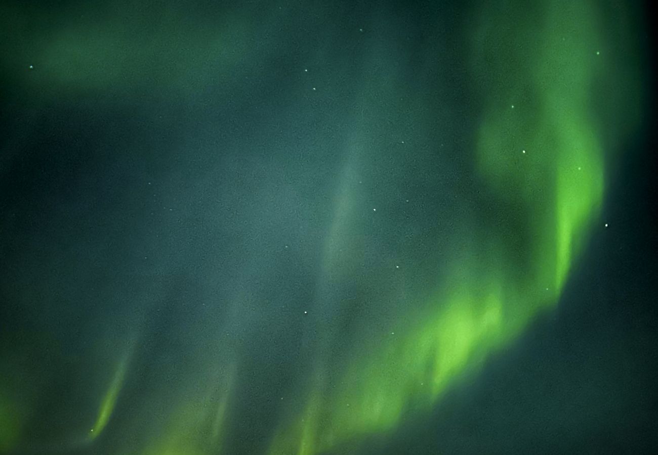 Leilighet i Tromsø - Leilighet midt i Tromsø
