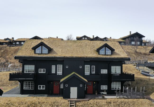 Leilighet i Hol - Fully equipped ski-in/ski-out apartment at Kikut, Geilo Leilighet i Hol - Fully equipped ski-in/ski-out apartment at Kikut, Geilo
