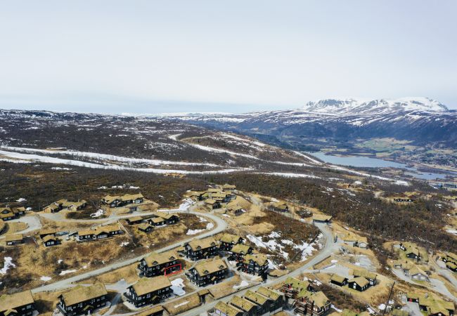 Leilighet i Hol - Fully equipped ski-in/ski-out apartment at Kikut, Geilo Leilighet i Hol - Fully equipped ski-in/ski-out apartment at Kikut, Geilo