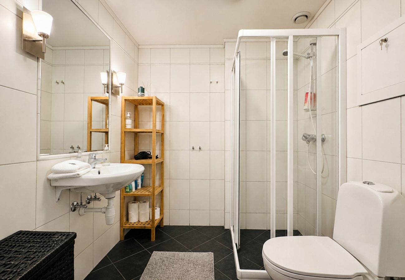 Leilighet i Hol - Fully equipped ski-in/ski-out apartment at Kikut, Geilo