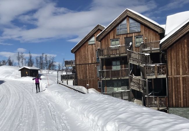 Leilighet i Hol - Ski inn/ski ut på Kikut, Geilo – leilighet med badstue Leilighet i Hol - Ski inn/ski ut på Kikut, Geilo – leilighet med badstue