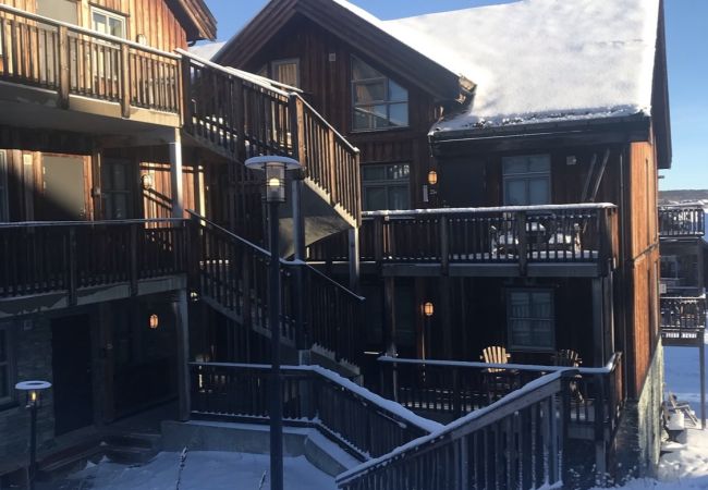 Leilighet i Hol - Ski inn/ski ut på Kikut, Geilo – leilighet med badstue Leilighet i Hol - Ski inn/ski ut på Kikut, Geilo – leilighet med badstue