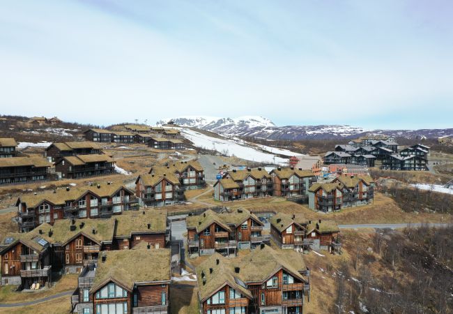 Leilighet i Hol - Ski inn/ski ut på Kikut, Geilo – leilighet med badstue Leilighet i Hol - Ski inn/ski ut på Kikut, Geilo – leilighet med badstue
