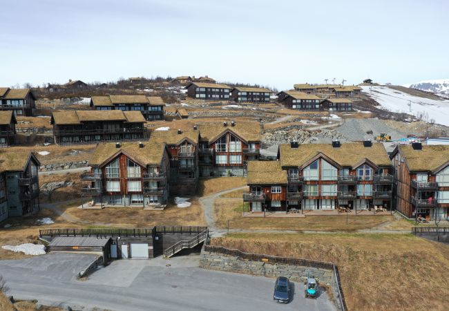 Leilighet i Hol - Ski inn/ski ut på Kikut, Geilo – leilighet med badstue Leilighet i Hol - Ski inn/ski ut på Kikut, Geilo – leilighet med badstue