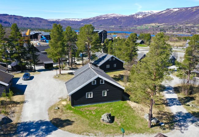 Hytte i Hol - Drømmehytte ved Geilo – ski-in/ski-out og plass til hele familien! Hytte i Hol - Drømmehytte ved Geilo – ski-in/ski-out og plass til hele familien!