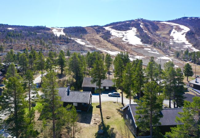 Hytte i Hol - Drømmehytte ved Geilo – ski-in/ski-out og plass til hele familien! Hytte i Hol - Drømmehytte ved Geilo – ski-in/ski-out og plass til hele familien!