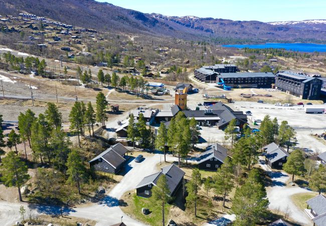 Hytte i Hol - Drømmehytte ved Geilo – ski-in/ski-out og plass til hele familien! Hytte i Hol - Drømmehytte ved Geilo – ski-in/ski-out og plass til hele familien!
