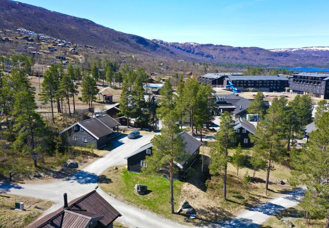 Hytte i Hol - Drømmehytte ved Geilo – ski-in/ski-out og plass til hele familien! Hytte i Hol - Drømmehytte ved Geilo – ski-in/ski-out og plass til hele familien!