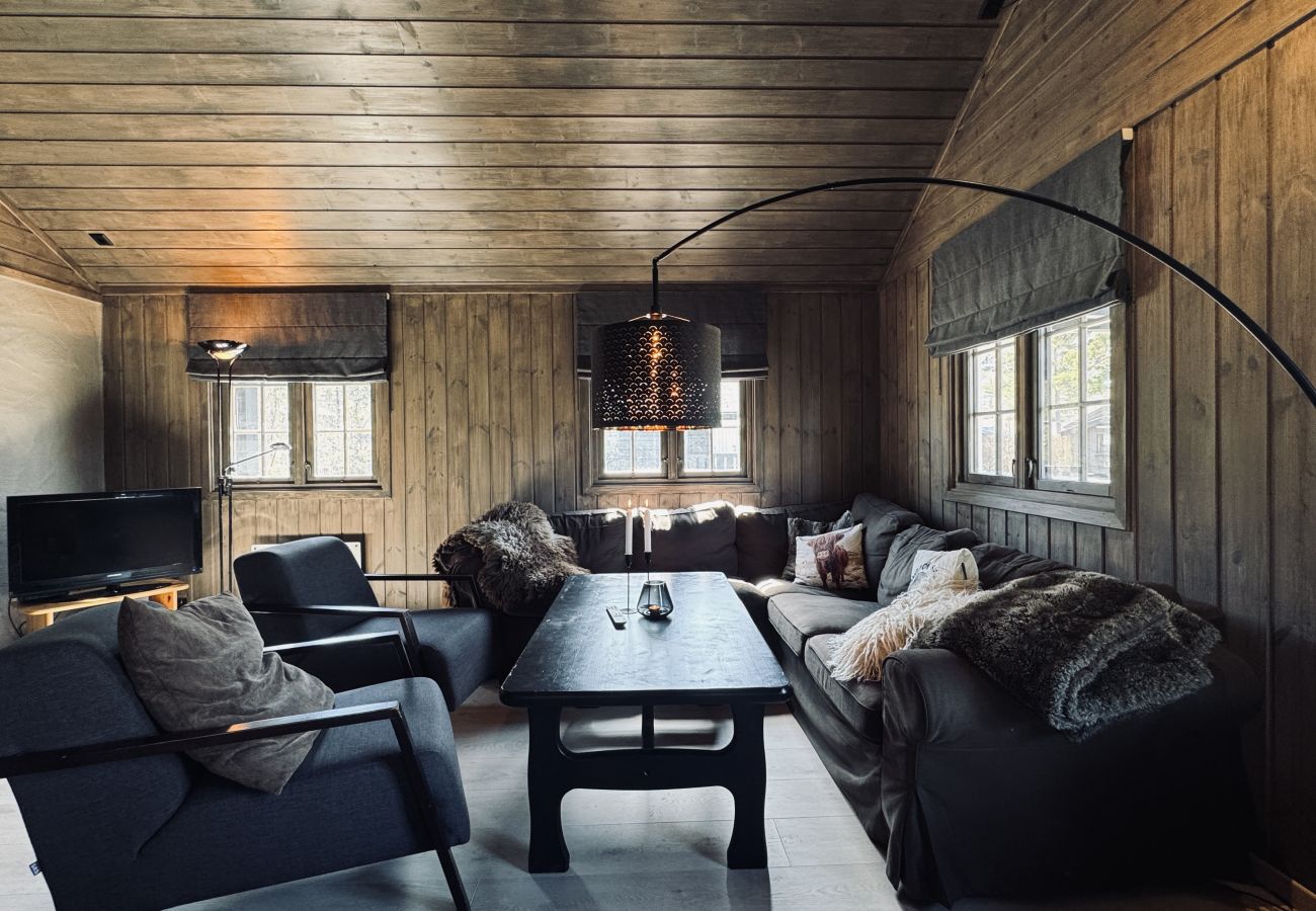 Hytte i Hol - Drømmehytte ved Geilo – ski-in/ski-out og plass til hele familien!