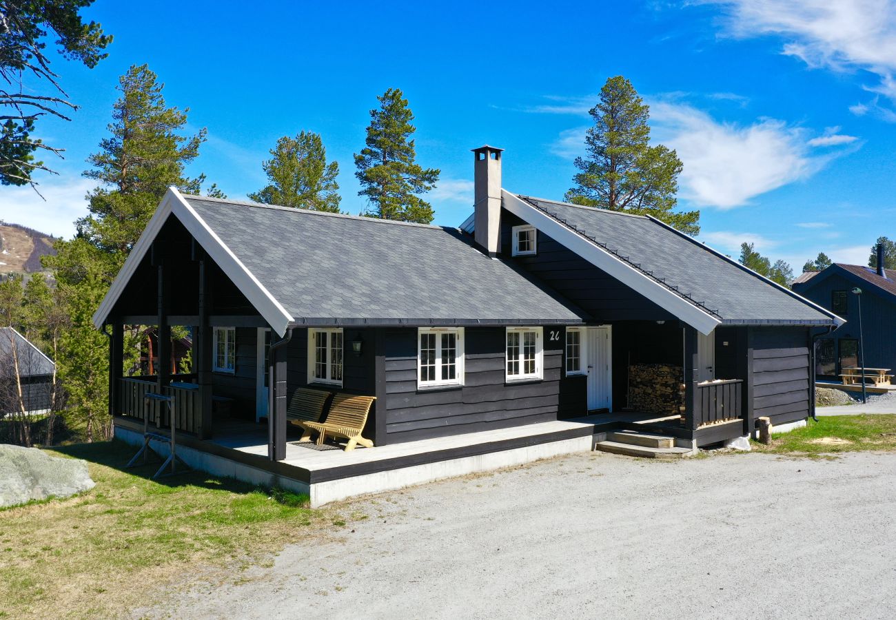 Hytte i Hol - Drømmehytte ved Geilo – ski-in/ski-out og plass til hele familien!