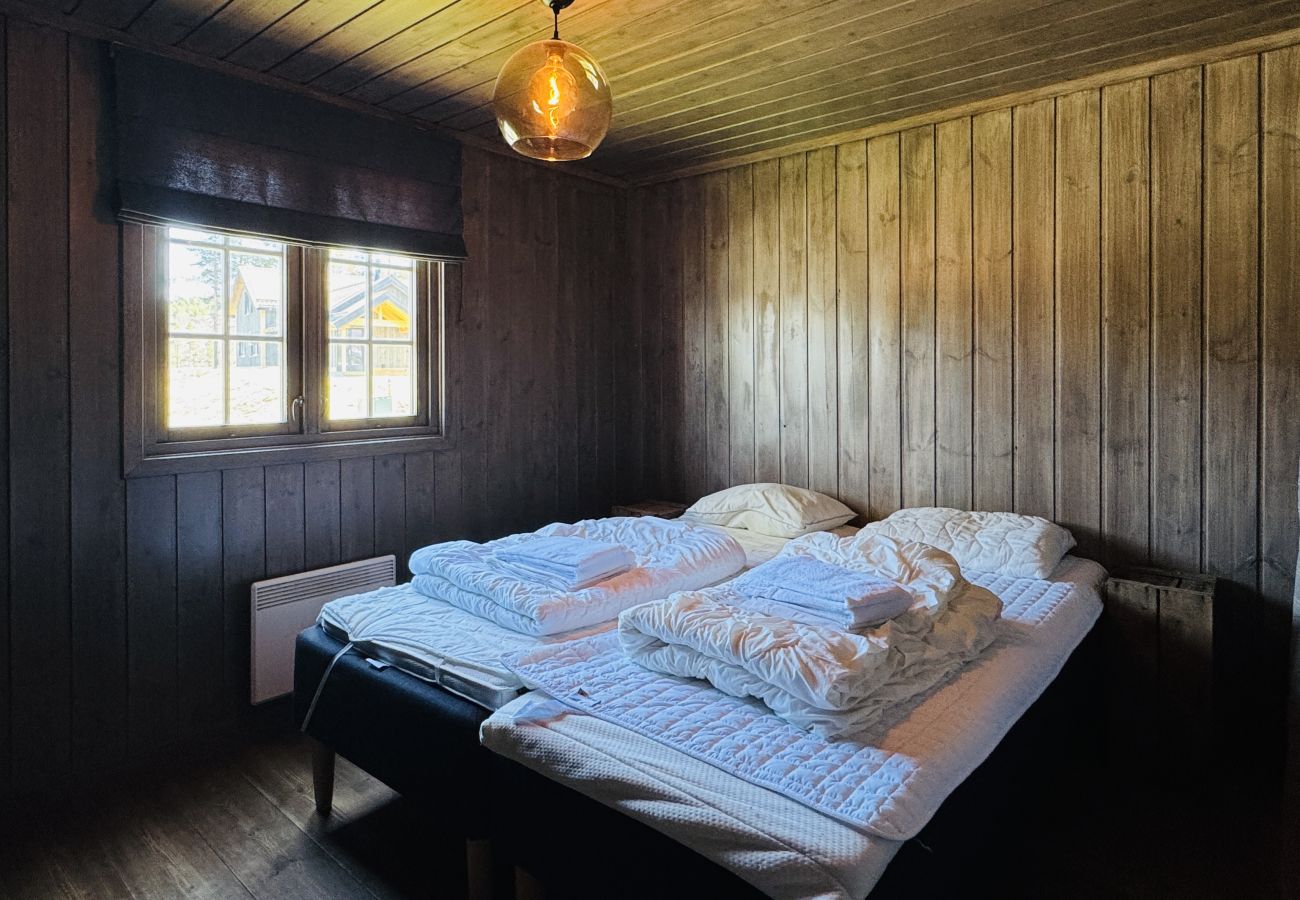 Hytte i Hol - Drømmehytte ved Geilo – ski-in/ski-out og plass til hele familien!