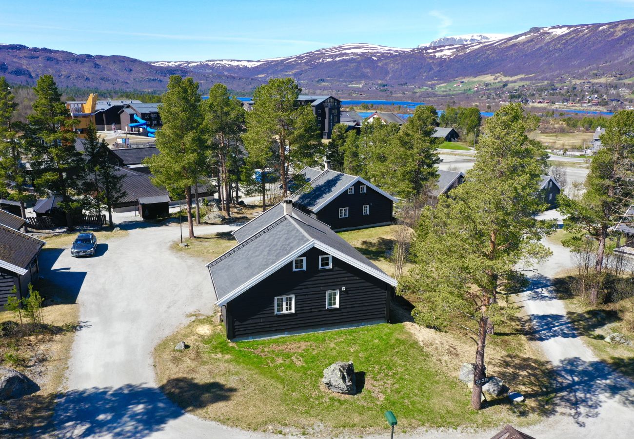 Hytte i Hol - Drømmehytte ved Geilo – ski-in/ski-out og plass til hele familien!
