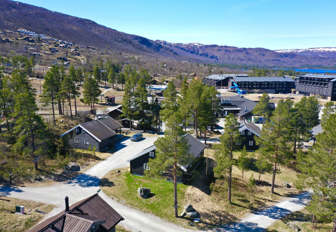 Hytte i Hol - Drømmehytte ved Geilo – ski-in/ski-out og plass til hele familien!