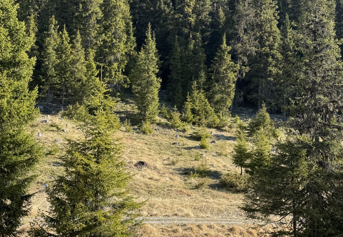 Hytte i Gol - Moderne og koselig hytte i Tisleidalen, Golsfjellet