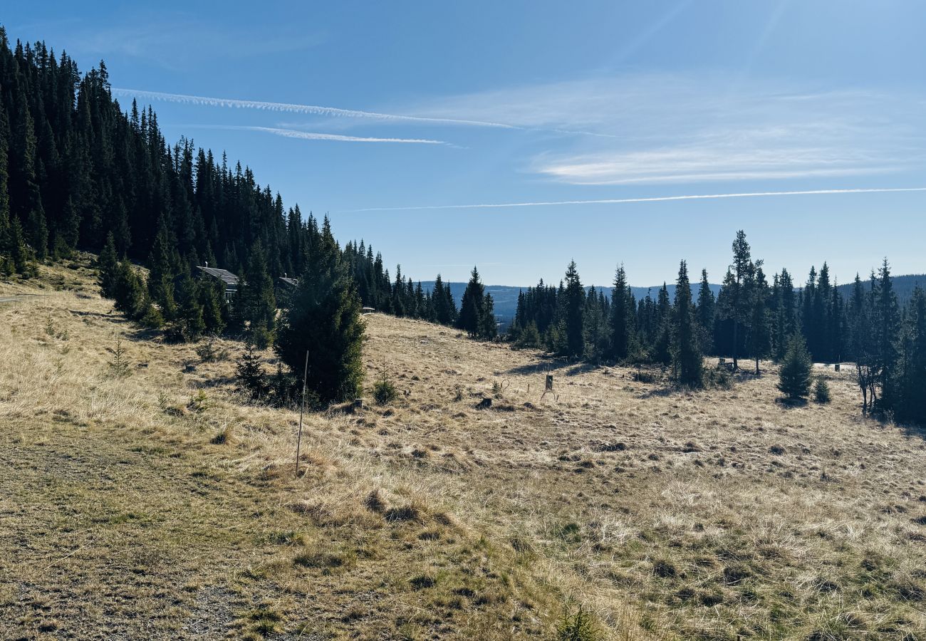 Hytte i Gol - Moderne og koselig hytte i Tisleidalen, Golsfjellet