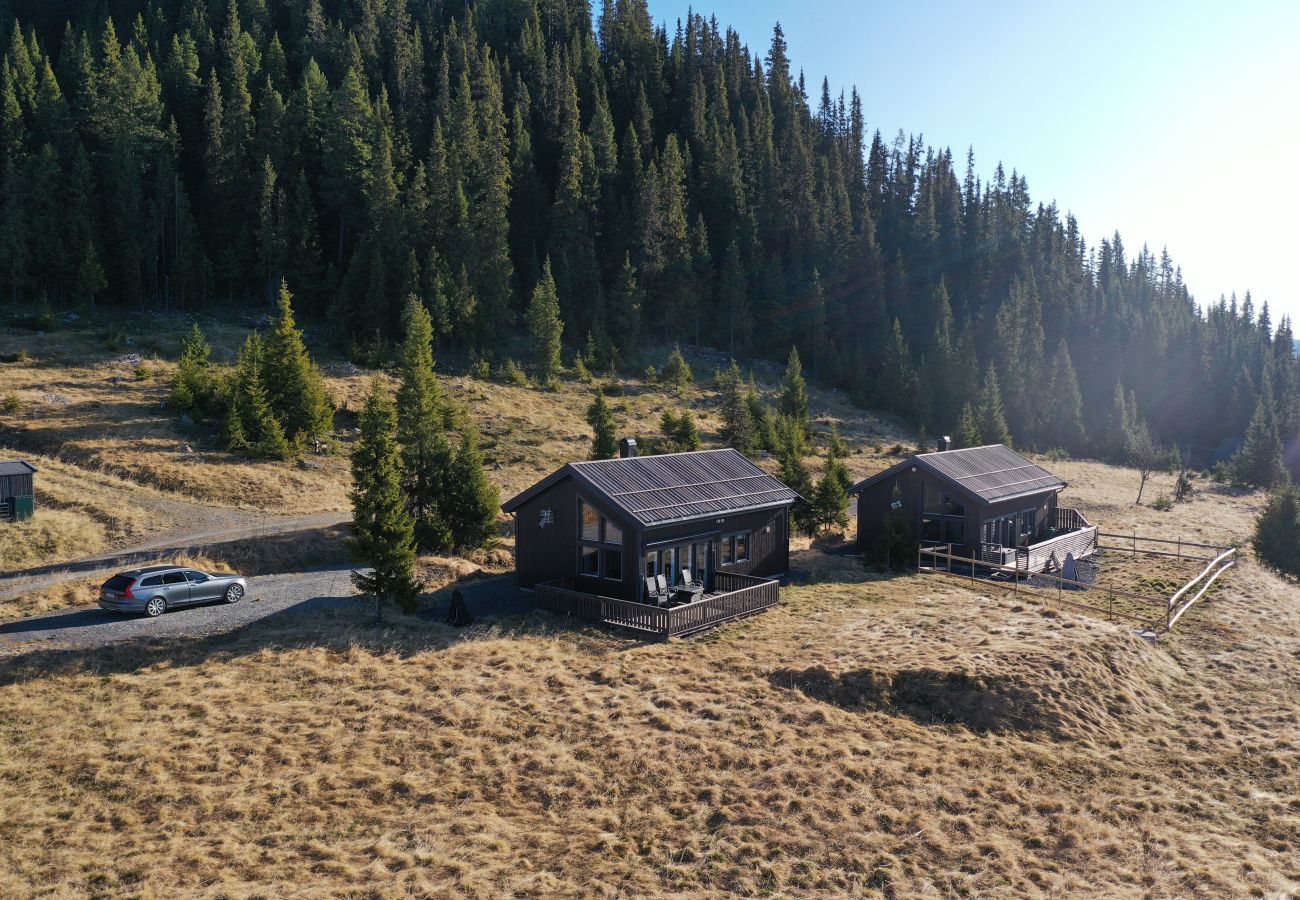 Hytte i Gol - Moderne og koselig hytte i Tisleidalen, Golsfjellet