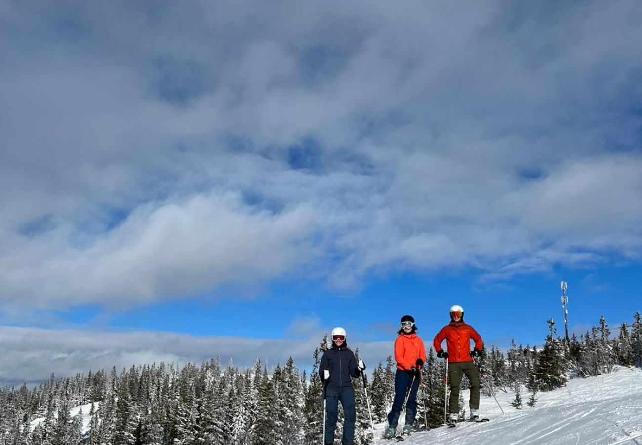 Hytte i Gol - Moderne og koselig hytte i Tisleidalen, Golsfjellet
