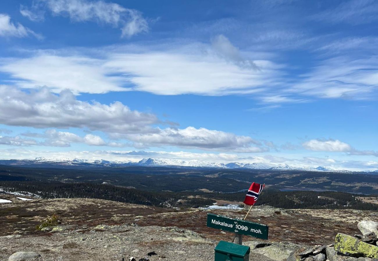 Hytte i Gol - Moderne og koselig hytte i Tisleidalen, Golsfjellet