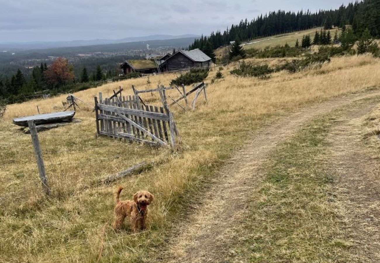 Hytte i Gol - Moderne og koselig hytte i Tisleidalen, Golsfjellet