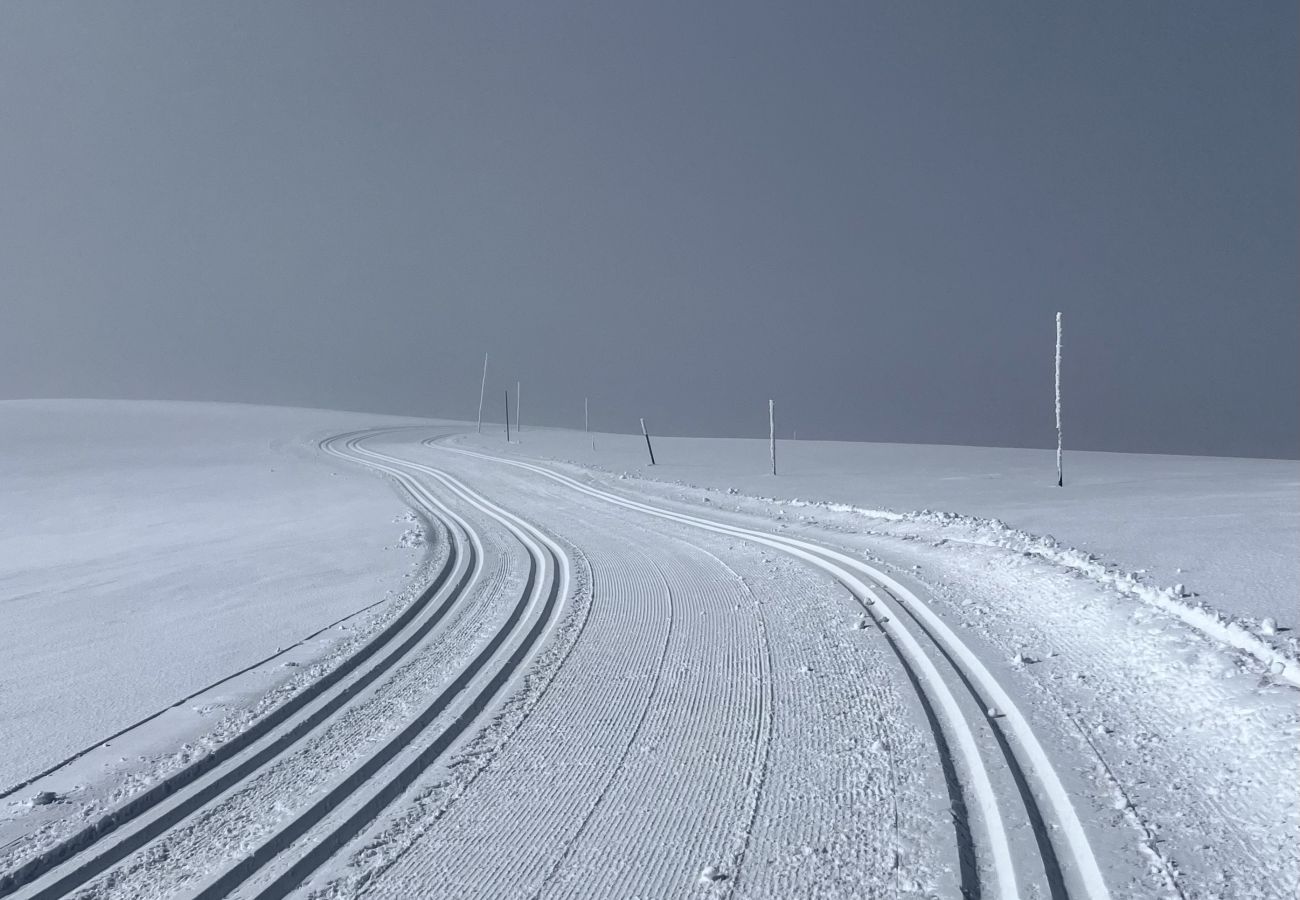 Hytte i Gol - Moderne og koselig hytte i Tisleidalen, Golsfjellet
