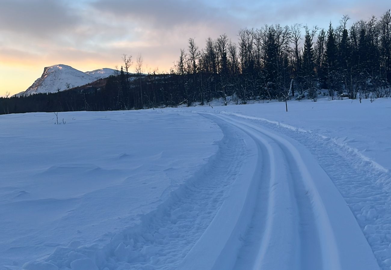 Hytte i Gol - Sjarmerende familiehytte med badstue i vakre Valdres