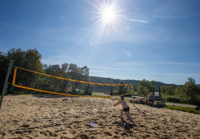 Hytte i Hol - Koselig hallingstue på Geilo Hytte i Hol - Koselig hallingstue på Geilo