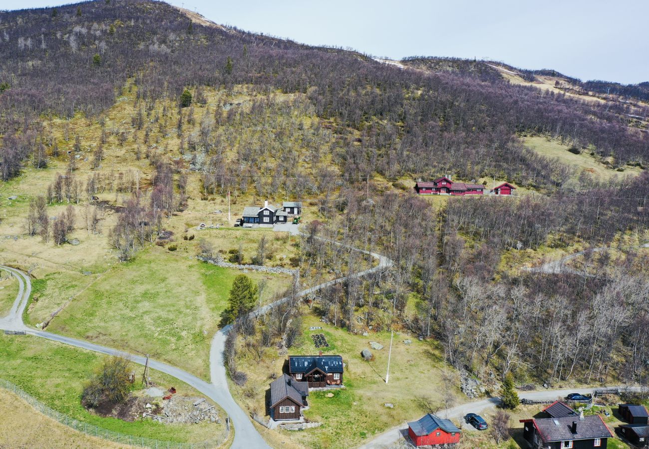 Hytte i Hol - Koselig hallingstue på Geilo