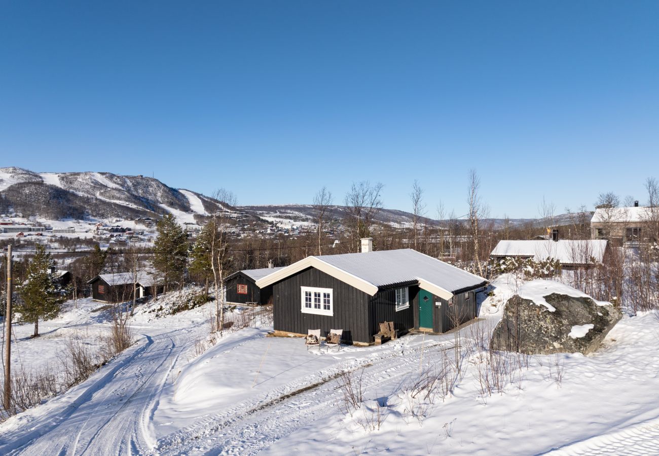 Hytte i Hol - En liten hyttedrøm på Geilo