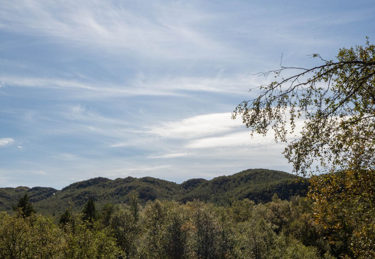Leilighet i Hol - Midt i magiske Geilo – moderne leilighet med solrik terrasse og utsikt
