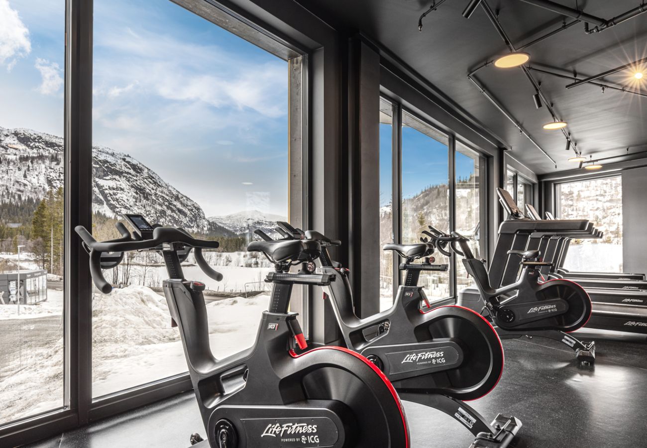 Leilighet i Hemsedal - Top apartment in Hemsedal ski inn-ski out