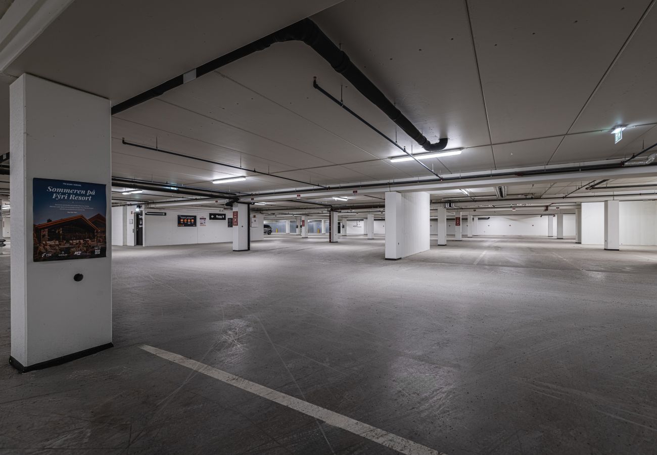 Leilighet i Hemsedal - Top apartment in Hemsedal ski inn-ski out