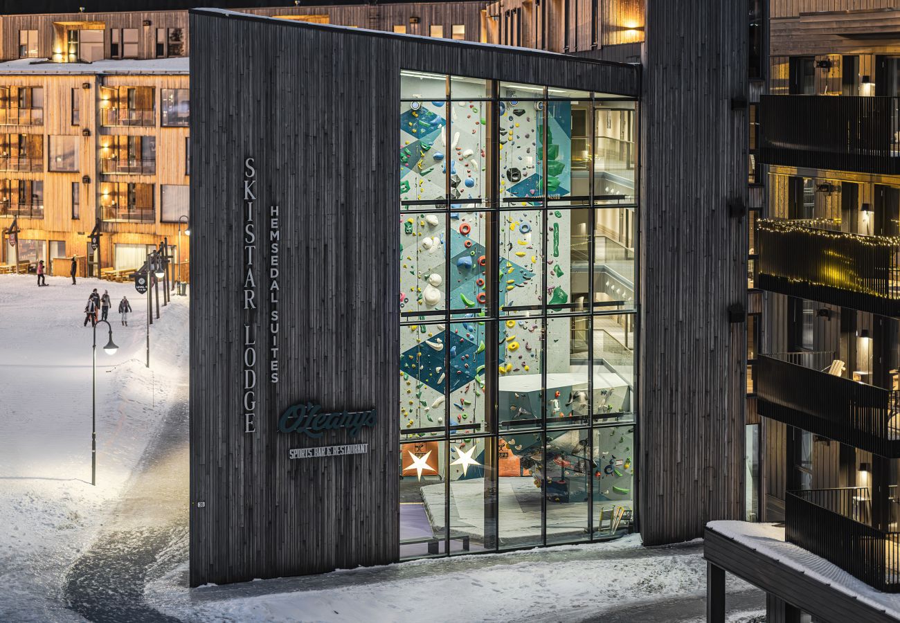 Leilighet i Hemsedal - Top apartment in Hemsedal ski inn-ski out