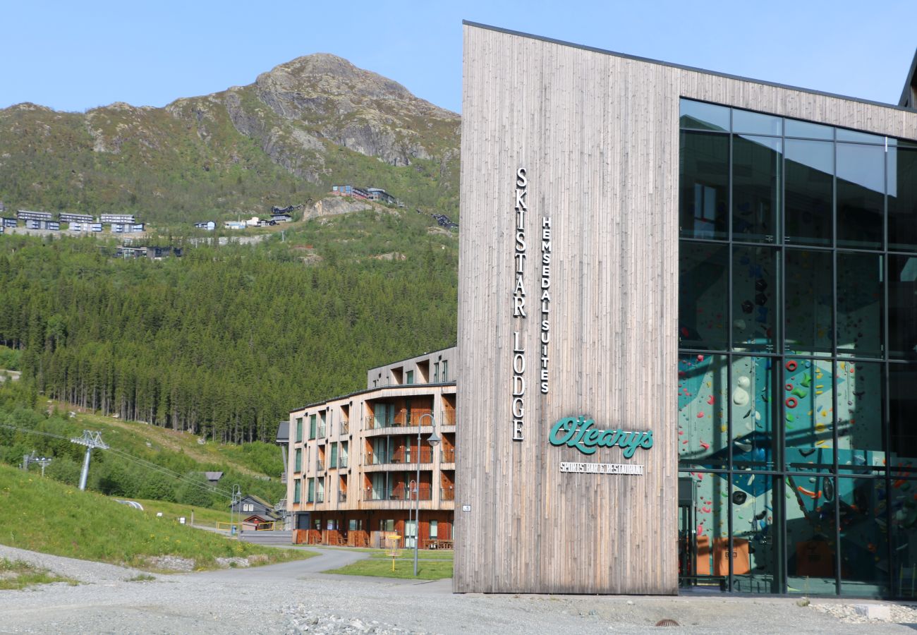 Leilighet i Hemsedal - Stilfull leilighet i Hemsedal Skisenter – ski in/ski out