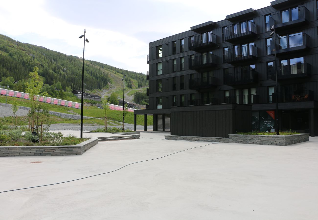 Leilighet i Hemsedal - Stilfull leilighet i Hemsedal Skisenter – ski in/ski out