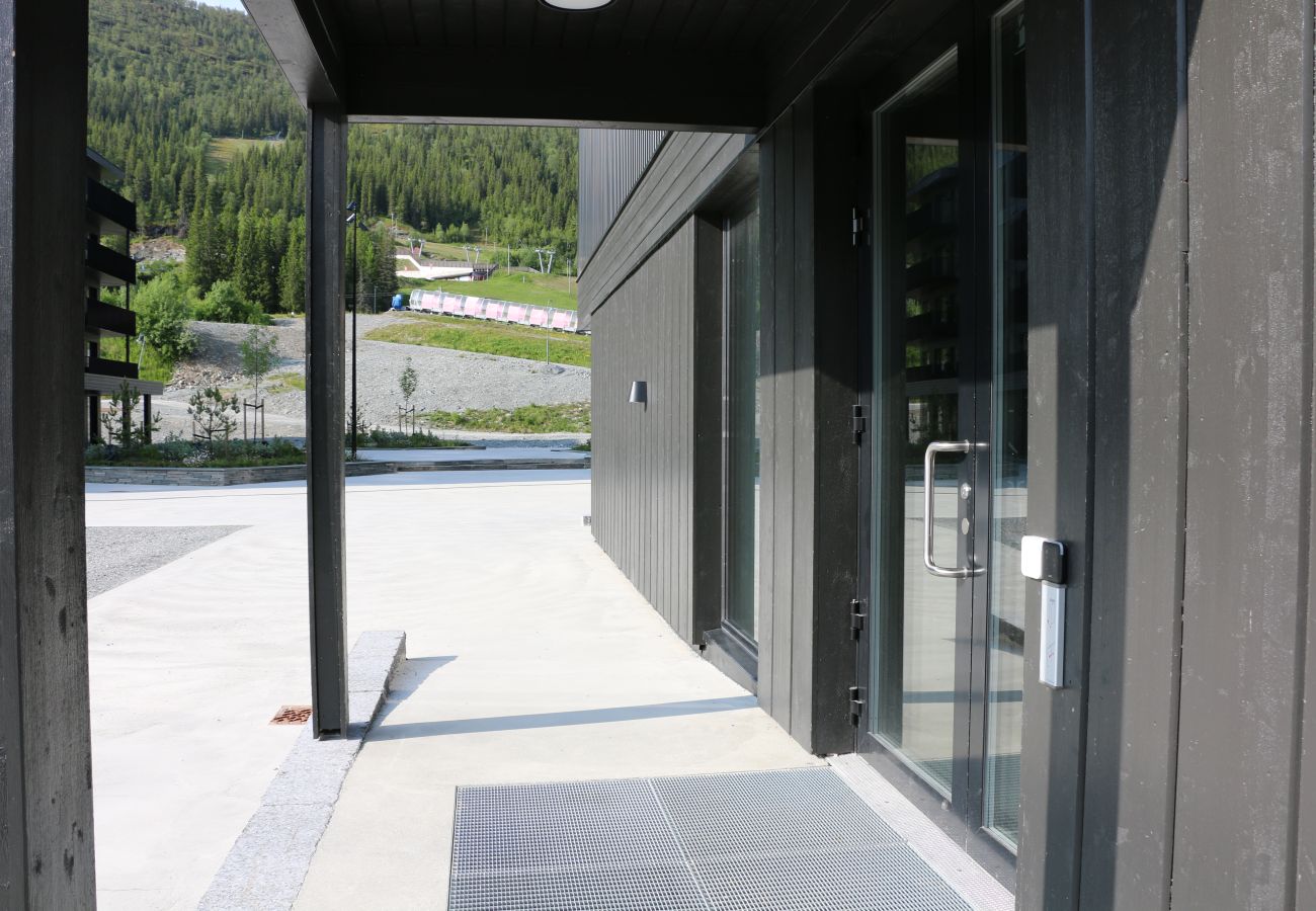 Leilighet i Hemsedal - Stilfull leilighet i Hemsedal Skisenter – ski in/ski out