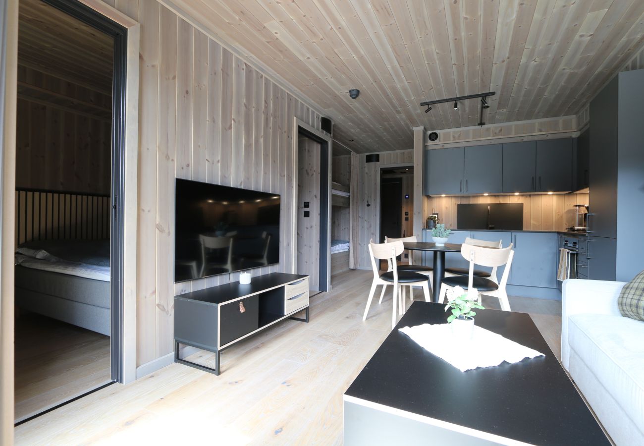 Leilighet i Hemsedal - Stilfull leilighet i Hemsedal Skisenter – ski in/ski out