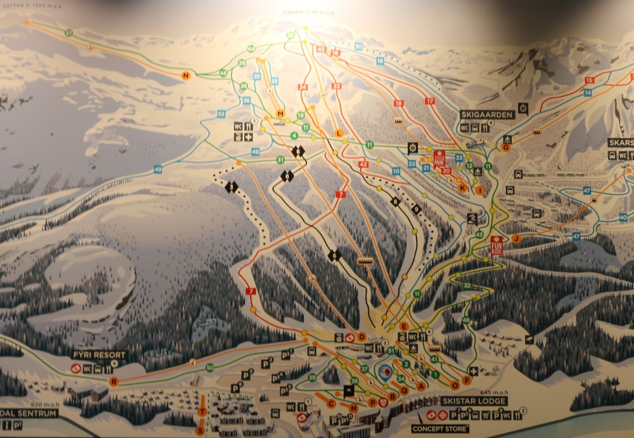 Leilighet i Hemsedal - Stilfull leilighet i Hemsedal Skisenter – ski in/ski out