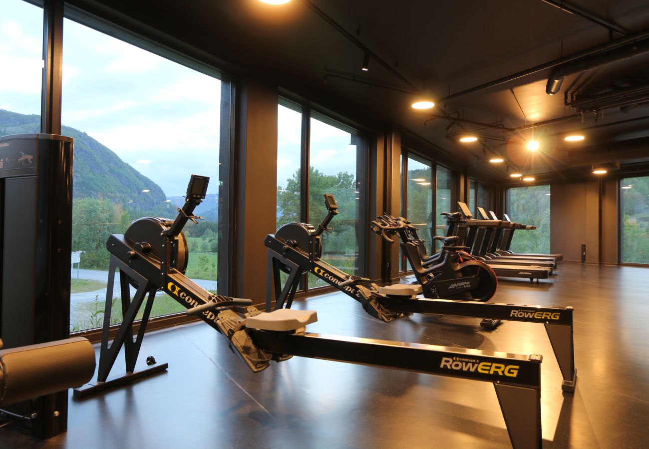 Leilighet i Hemsedal - Stilfull leilighet i Hemsedal Skisenter – ski in/ski out
