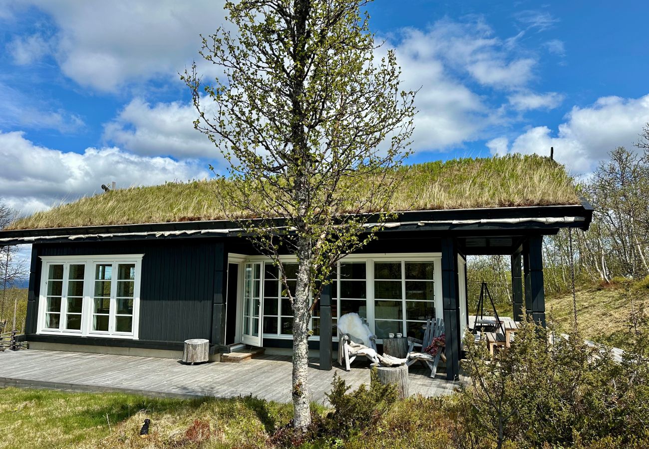 Hytte i Hol - Eksklusiv fjellhytte med utsikt og høy standard – Kikut/Geilo