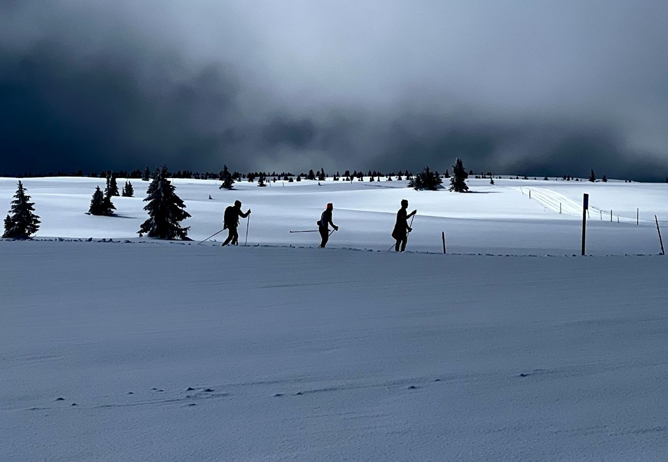 Hytte i Gol - Røde Kors-hytta – Romslig fjellhytte med fantastisk utsikt og plass til 26 personer
