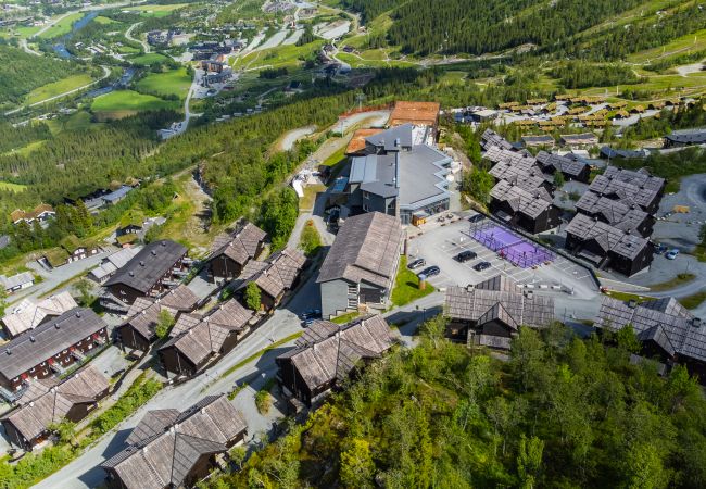 Leilighet i Hemsedal - Ski inn/ski ut i Hemsedal – koselig leilighet ved Skarsnuten Leilighet i Hemsedal - Ski inn/ski ut i Hemsedal – koselig leilighet ved Skarsnuten