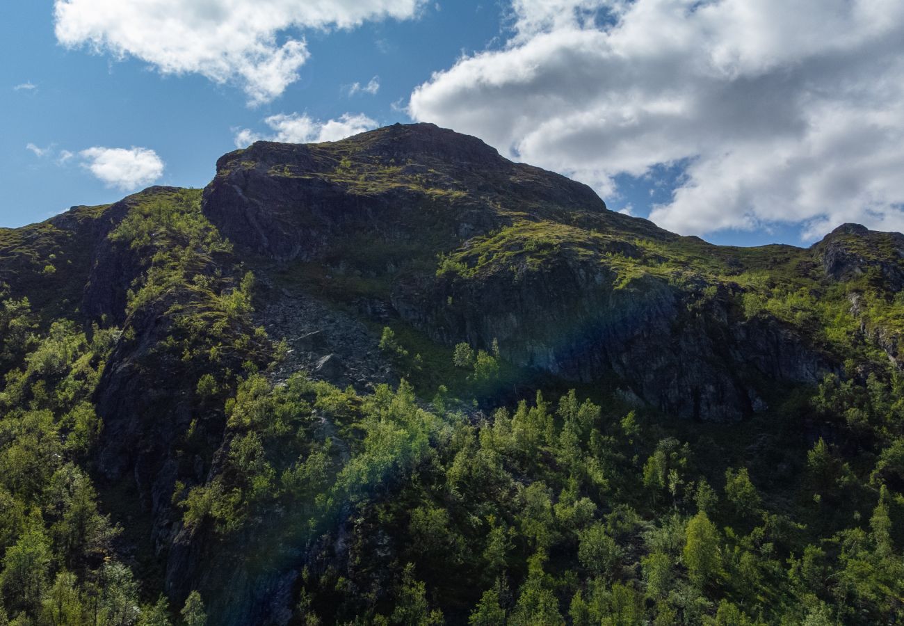 Leilighet i Hemsedal - Ski inn/ski ut i Hemsedal – koselig leilighet ved Skarsnuten