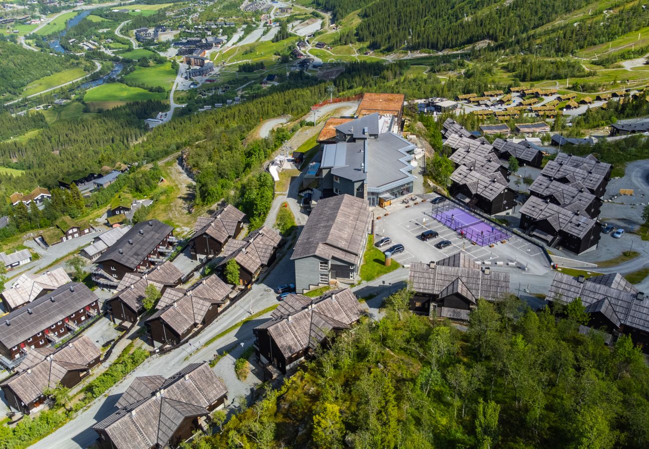 Leilighet i Hemsedal - Ski inn/ski ut i Hemsedal – koselig leilighet ved Skarsnuten