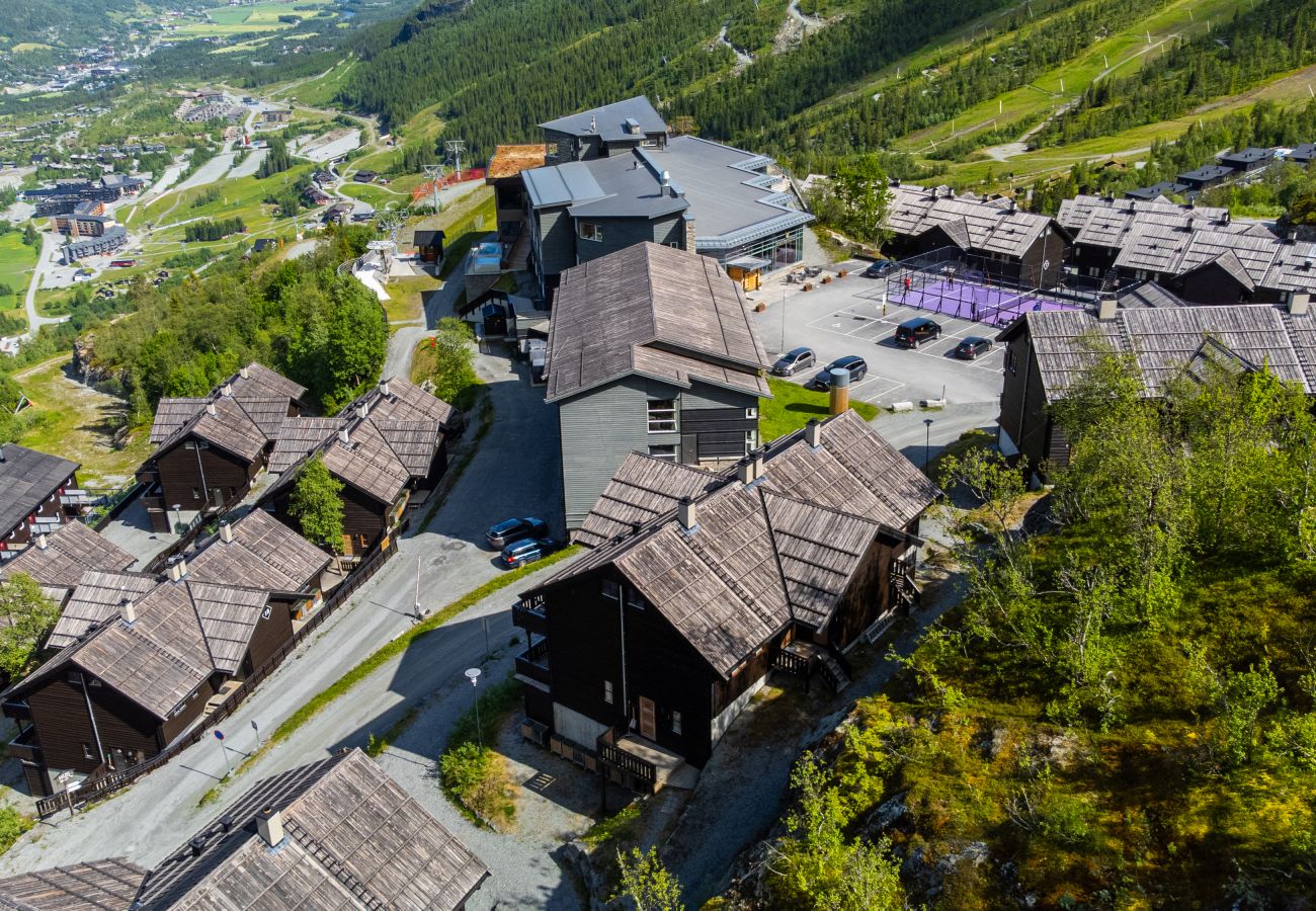 Leilighet i Hemsedal - Ski inn/ski ut i Hemsedal – koselig leilighet ved Skarsnuten