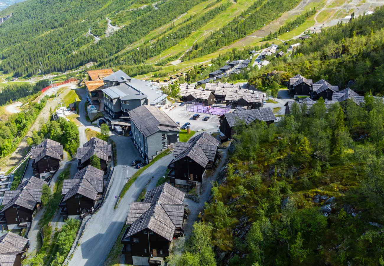 Leilighet i Hemsedal - Ski inn/ski ut i Hemsedal – koselig leilighet ved Skarsnuten