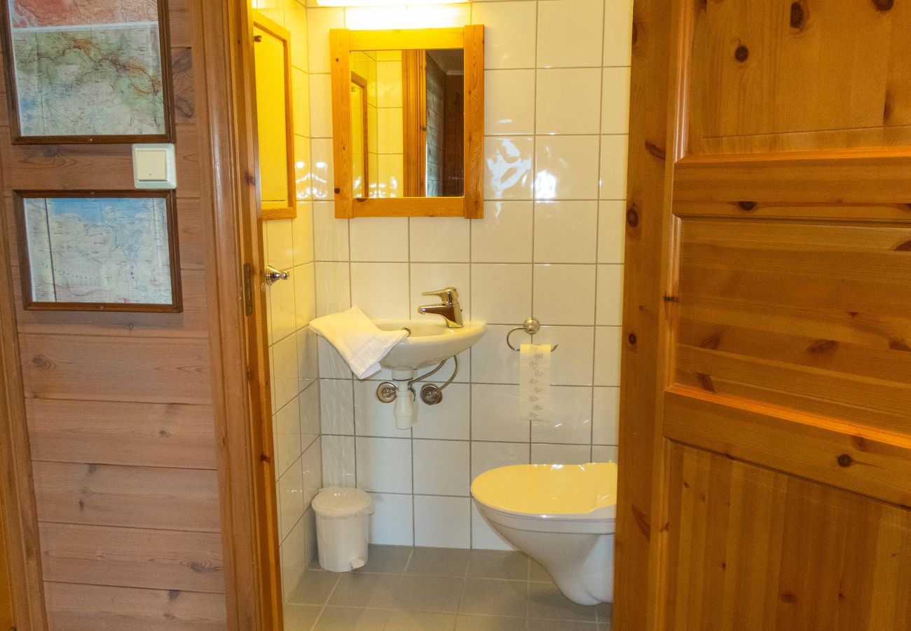 Leilighet i Hemsedal - Ski inn/ski ut i Hemsedal – koselig leilighet ved Skarsnuten