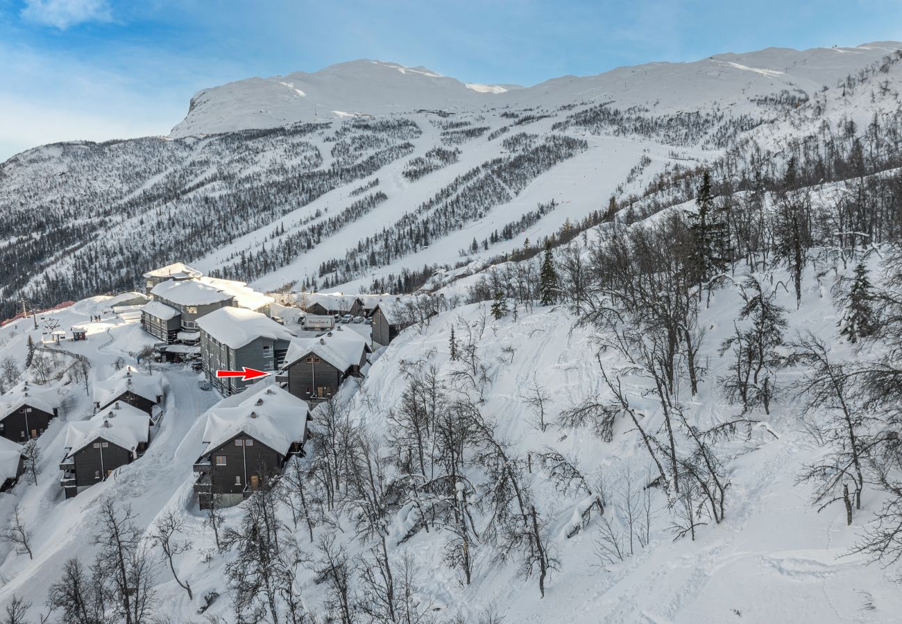 Leilighet i Hemsedal - Ski inn/ski ut i Hemsedal – koselig leilighet ved Skarsnuten