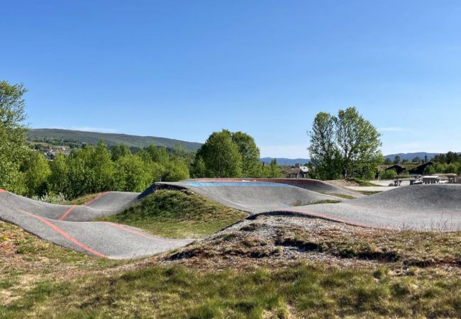 Hytte i Hol - Ski in/ski out på Geilo – Komfortabel hytte i Vestlia med 3 soverom Hytte i Hol - Ski in/ski out på Geilo – Komfortabel hytte i Vestlia med 3 soverom